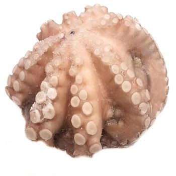 Frozen Fresh Octopus Expertly Frozen To Maintain Fresh Quality And Deliver Superior Seafood Experience For Export - TOSOH INTERNATIONAL - South Africa