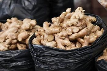 Chinese ginger - Diverse Agro investment Ltd - Ghana