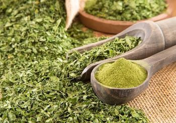 Organic Moringa Powder - CEYLON SRI INTERNATIONAL - Sri Lanka