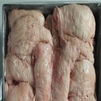 Premium Quality Frozen Lamb Tail Fat for Wholesale Supply – 100% Pure, Freshly Processed, Halal Certified, Rich in Flavor, Ideal for Cooking, Food Processing, and Industrial Use, Available in Bulk Packaging with Reliable Global Shipping and Competitive Pricing from agroturaspzoo Premium Quality Frozen Lamb Tail Fat for Wholesale Supply – 100% Pure, Freshly Processed, Halal Certified, Rich in Flavor, Ideal for Cooking, Food Processing, and Industrial Use, Available in Bulk Packaging with Reliable Global Shipping and Competitive Pricing - agroturaspzoo - Poland