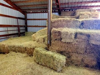 Alfalfa and Timothy hay from South east family farm Alfalfa and Timothy hay - South east family farm - United States