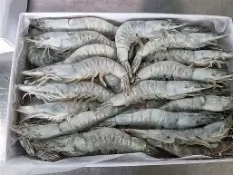 Vannamei HOSO IQF 21/25 100% nw, net count, 2LBS/BOX * 5 BOXES/CTN - BLUE BAY SEAFOOD CO.,LTD - Vietnam