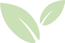 Product – product photo, Paddy Rice Seeds products found from trusted suppliers, wholesalers, manufacturers & exporters Listing