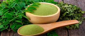 Moringa Leaf Powder – product photo, Organic Moringa Leaf products found from trusted suppliers, wholesalers, manufacturers & exporters Listing