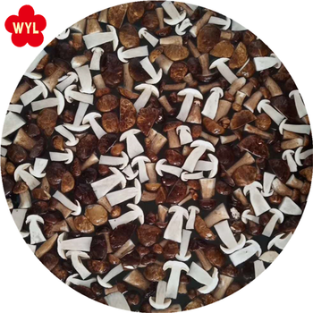 Good price wholesale Porcini Mushroom IQF shole/cuts Boletus Edulis - Qingdao Wyl Imp. & Exp. Co., Ltd. - China
