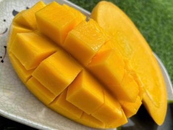 Fresh Mango - Nam Dok Mai from Thailand Grade A, B, SS Origin Thailand Packaging Carton Texture Fiberless Color Golden-yellow - NPA International Trading Co., Ltd. - Thailand