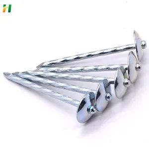 Accessories/Iron Nails/Stainless Steel Nails/Self-Drilling Nails/Black Nails/Round Nails/Straight Nails/Insulation Nails/Self-Tapping Screws/Gun Nails/Staples - Hebei Ruihao Metal Products Co., Ltd. - China