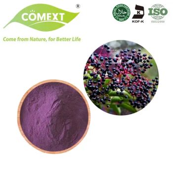 Comext Elderberry Powder Sambucus Nigra 4:1 10:1 Anthocyanin 2Y Shelf MOQ100 15D - Changsha Comext Biotech Co., Ltd. - China