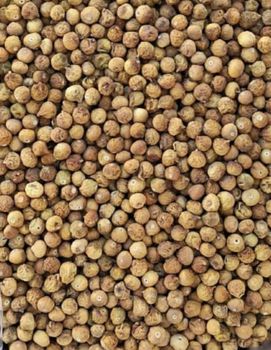 Ordinary fig-1A-2coler-code143 Form tiny Size 13-19 Taste Sweet Texture Dried Color 2 coler, Dark And Small Application Food Industry, Snack - figsexport - Iran