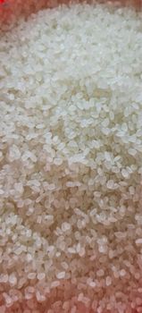 Rice -  Topglo Corporation  - India