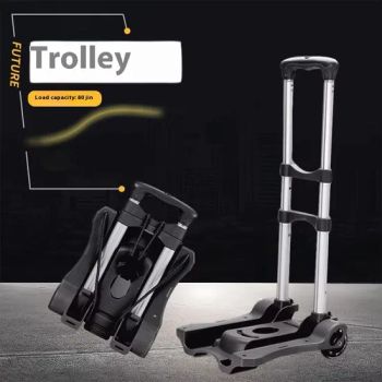 Platform Trolley Portable Outdoor Cargo Cart Small Trailer Foldable Household Luggage Transportation Pull-Rod Vehicle - Qingdao Otia Industry and Trade Co., Ltd. - China