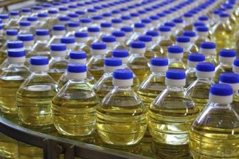 Crude Rapeseed Oil | Refined Canola Vegetable Oils for Sale Grade A+ Packaging Bulk cans, - FIN ALAMAK  - Russian Federation