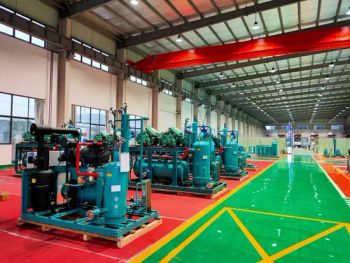 Hotel Commercial Freezer Cold Room for Sale Size Medium Condition New Origin Jiangsu Trademark FROZ Evaporator Hpeok Controller - Taian Yongyan Equipment Technology Co., Ltd. - China
