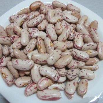 SUGAR BEANS - AGRO AFRIQUE COMPANY LIMITED - Tanzania