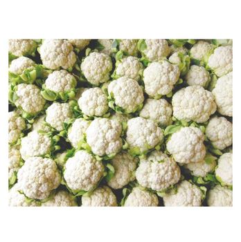 new crop fresh cauliflower factory low price white cauliflower -  CALIPSO POLSKA SP Z OO  - Poland