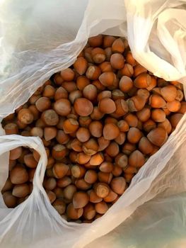 High Quality Hazelnuts Peeled Roasted Dry Hazelnuts Unshelled Bulk Packacing Hot Sale New Season - PLANETE COMMERCE - France