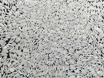 asmine White Rice and Jasmine Brown Rice Purity Min 95% Crop Year 2025 Moisture Max 10% Admixture Max 5% Shelf Life 12 - SILVERSTONE IMPORT AND EXPORT LIMITED - Tanzania