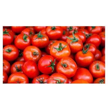 Vietnamese Fresh Tomatoes Wholesale Supplier Of All Type Fresh Tomatoes  -  CALIPSO POLSKA SP Z OO  - Poland