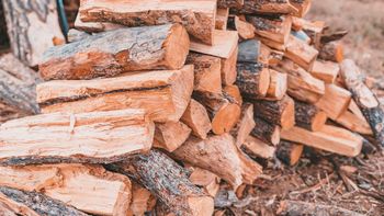 Top Grade Kiln Dried Firewood Long Burning Hardwood Logs For Heating Cooking And Outdoor Gatherings from CPW TRADE LTD Top Grade Kiln Dried Firewood Long Burning Hardwood Logs For Heating Cooking And Outdoor Gatherings - CPW TRADE LTD - United Kingdom