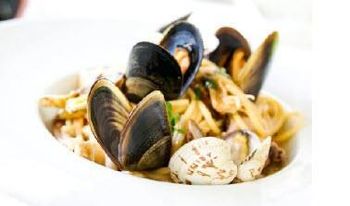 Frozen clams - LANDA SEAFOOD - Netherlands