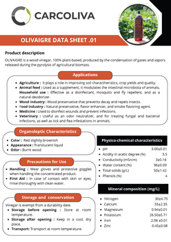 OLIVAIGRE - CARCOLIVA - Tunisia
