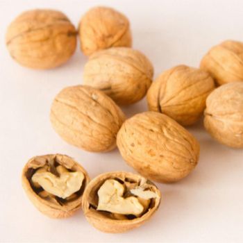 High Quality Raw Walnuts Without Shell - AGRO AFRIQUE COMPANY LIMITED - Tanzania