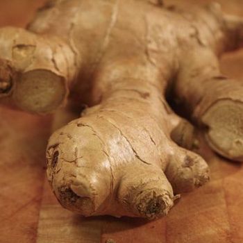 Selected Organic Farm Harvest Includes Fresh Ginger Packed Freshly For Global Importers from malter group Selected Organic Farm Harvest Includes Fresh Ginger Packed Freshly For Global Importers - malter group - Tanzania