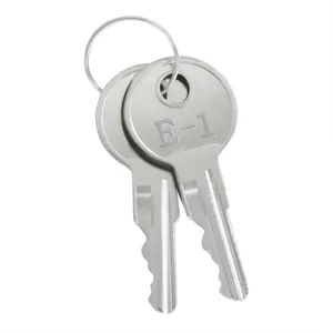 New Ezgo TXT Ignition Key Replacement-Fits Golf Cart & Electric Sightseeing Vehicle - Yangzhou Boom New Energy Electric Vehicle Technology Co., Ltd - China