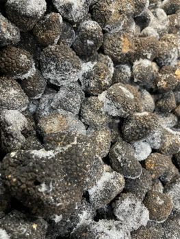 Frozen Truffle Features Organic Availability Frozen Product Form Truffle Color White And Black Origin European Continent - NARA TRUFFLES LTD - Bulgaria