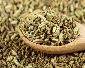 Wholesale Fennel Seeds Premium quality Fennel Seeds Cheap quality fennel seed - BF GLOBAL TRADING (PTY) LTD - South Africa