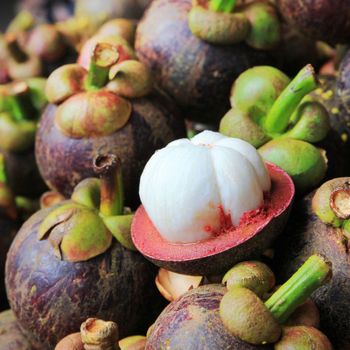 Mangosteen Size 5-7 cm Texture Tender Style Fresh/Frozen Material 100% Fresh Weight (kg) 80-120g Quality High - quality Shelf Life 12-24 month - Great Farmer Company Limited - Vietnam