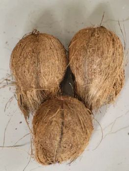 Semi-husked Coconut - Nexora Global Exim - India