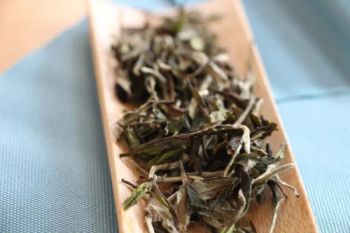 White Peony Tea White Tea Chinese Best Fermented Organic Bai Mu Dan Tea Pai Mu Tan Tea - Hunan Shine Wing Tea Co., Ltd. - China