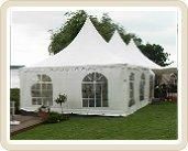 Product – product photo, Grouper products found from trusted suppliers, wholesalers, manufacturers & exporters Listing