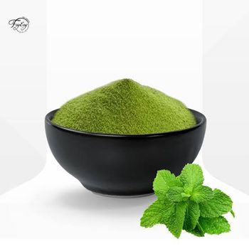 Mint powder from Unique food Mint powder - Unique food - India