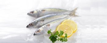 Frozen Whole SACD Fish from AMAZE SEAFOOD TRADE Frozen Whole SACD Fish – product photo, Other Frozen Shellfish products found from trusted suppliers, wholesalers, manufacturers & exporters Listing
