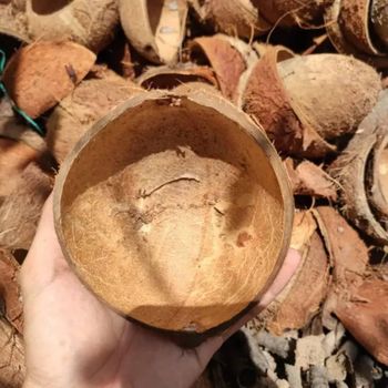 Buy raw coconut shell material at wholesale price perfect for agriculture waste use with fast delivery and always in stock Whatsap +255787979235 - AL JABLI TRADING COMPANY LIMITED - Tanzania