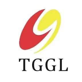 Product - HENAN TAIGUO BOILER PRODUCTS CO., LTD. - China
