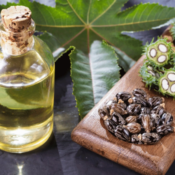 Dark Premium Quality Pure Top Grade Castor Oil Derived From Plants 100% Pure for Hair Growth 24-Month Shelf Life Bulk from CPW TRADE LTD Dark Premium Quality Pure Top Grade Castor Oil Derived From Plants 100% Pure for Hair Growth 24-Month Shelf Life Bulk - CPW TRADE LTD - United Kingdom