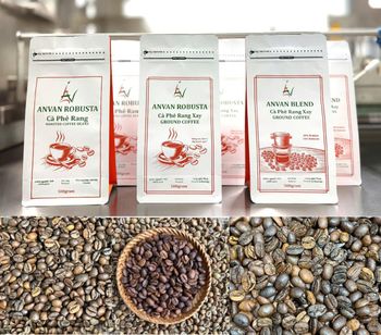 Premium 100% Robusta Coffee Bean Organic No Decaffeinated No Bean Type Robusta Degree of Processing Raw - ANVAN DRIED FOOD CO.,LTD - Vietnam
