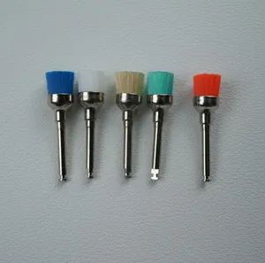 Dental High Quality Brushes Disposable Dental Polishing Brush Polisher Brush - Nanjing Foinoe Co., Ltd. - China