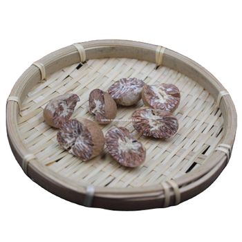 NS Vina Vietnam Competitive Price Good Quality Supari Betel Nut Areca Nut - NS VINA IMPORT EXPORT TRADING MANUFACTURING COMPANY LIMITED - Vietnam