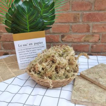 High Compression Nutrient-Rich Dry Sphagnum Moss for Soil Improvement & Potted Plants - Jinan Sphagnum Horticulture Co., Ltd - China