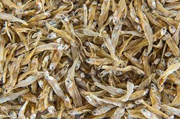 ANCHOVIES HEAD - TUNAS KURALAS - Malaysia