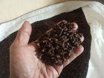 Best Price Clove with Excellent Quality Natural Dried Variety AB6 Drying Process natural - PT Kacang Jagung Nusantara - Indonesia