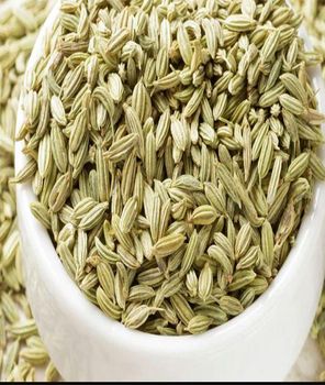 Fennel