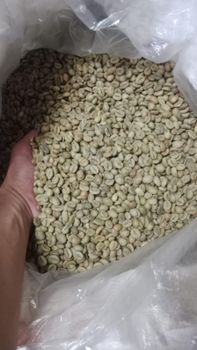 Fine Robusta Specialty - PT. Iskandar Coffee Aceh - Indonesia