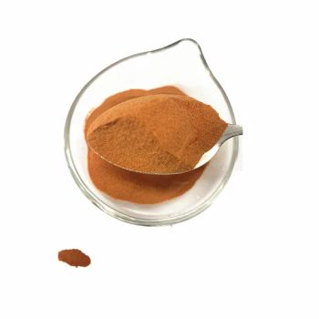 Organic Dehydrated Tomato Powder Spray Dried Tomatoes - Shanghai Sinospices Sourcing Ltd. - China