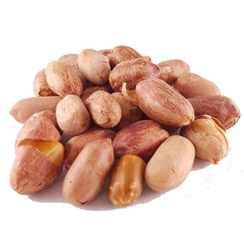 Fresh Harvest Peanuts Whole Groundnuts Natural Taste Ideal For Daily Food Production And Roasting Use Buy Now Fast Delivery High Quality Raw Peanuts in shell - Roasted Peanut - wood traders - Poland