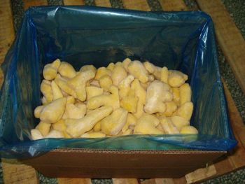 Frozen peeled ginger - Công ty TNHH Thương Mại Xuất Nhập Khẩu Tân Gia Thành - Vietnam